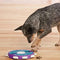 Nina Ottosson- Dog Twister