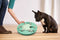 Nina ottosson dog worker composiet 34,5x34,5x5 cm