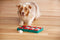 Nina Ottosson - Hondenspel - Dog brick