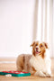 Nina Ottosson - Hondenspel - Dog brick