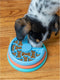 Nina Ottosson Puppy Lickin' Layers - Hondenvoerbak - Ø16.7x16.7 cm Blauw Oranje Groen Puppies