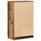 vidaXL - Dressoir - 60x35x98,5 - cm - spaanplaat - oud - hout