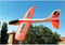 Ninco Air Glider 48 cm