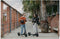 Ninebot Kickscooter F2 Plus E Powered by Segway - E-step - Actieradius: 55km - Snelheid: 25km/h - Officieel Benelux model