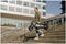 Ninebot Kickscooter F2 Plus E Powered by Segway - E-step - Actieradius: 55km - Snelheid: 25km/h - Officieel Benelux model