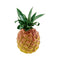 Nino Shaker Ananas NINO595