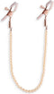 Nipple Clamps DC1