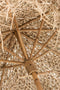 J-Line parasol Op Voet - bamboe - naturel