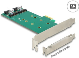 Delock PCI Express - 2 x internal M.2 Key B - SATA 6 Gb/s - Low Profile