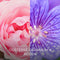 Botanica by Air Wick - Elektrische Geurverspreider - Oosterse Geranium & Rozen - Voordeelverpakking (3 stuks)