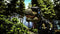 ARK: Survival Evolved - PS4 - Actie Free Roaming - (paar lichte krasjes)