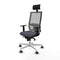 Bureaustoel met hoofdsteun Piqueras y Crespo 1D026G1 Donker grijs
