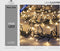 Anna's Collection - Cluster lights 1920l/11.5m led warm wit - 4m aa...