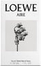 Damesparfum Aire Loewe EDT