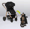 Lionelo Amber 3in1 - Kinderwagen Reiswieg Buggy Autostoel - ADAC getest - Geveerde Pompwielen - Zacht Babymatras - Compact Opvouwbaar - Kleur: Black Onyx