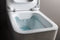 Laufen Pro - Closetzitting - Zacht sluitend - Wit