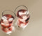 Rebottled Short Tumblers - Olive 175 ml - 4 Stuks