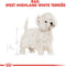 Royal Canin West Highland White Terrier Adult 3 KG