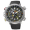 Horloge Heren Citizen BN4021-02E