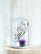 Mica Decorations Hella Glazen Stolp - H38 x Ø23 cm - Transparant, Wit