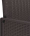 vidaXL - Tuinstoelen - 4 - stuks - Bruin - Poly - Rieten