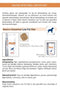 Royal Canin Veterinary Diet Gastro Intestinal Low Fat - Hondenvoer - 12 kg