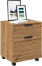 vidaXL - Dossierkast - verrijdbaar - 45x38x54 - cm - hout - artisanaal - eikenkleur