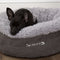 Scruffs Cosy - Kattenmand - Rond - Ø 45 cm - Grijs