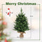 Coast Kunstkerstboom Tafel - 60 cm - 234 Takpunten - 35 Warmwitte LED Lampjes - Groen