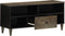 vidaXL - Tv-meubel - 100x33x46 - cm - massief - mangohout - zwart