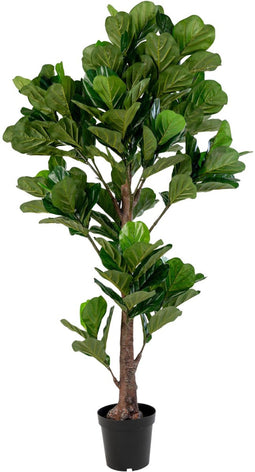 House Nordic Kunstplant Fiddle Leaf Boom 190cm
