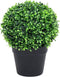 vidaXL - Kunstplanten - met - pot - 2 - st - buxus - bolvorming - 37 - cm - groen