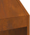 vidaXL - Vuurplaats - 50x50x100 - cm - Weerbestendig - Staal