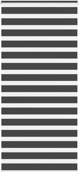 vidaXL - Zebra - rolgordijn - 100x200 - cm - stofbreedte - 95,9 - cm - zwart