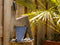 NO-AXE HOUTKLOVER | BLANK STAAL | SET MET HAMER | HOUTSPLIJTER | HOUTSPLITTER | HOUTKLIEVER | SPLIJTWIG | KLOOFWIG
