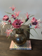 No Label Bowl Vaas Windlicht Craquele Champagne Beige Bruin