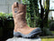 No Risk werklaars Hawick 6674.02 S3 Aqua-tex - Bruin - 41