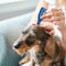 No Stress Spot On Hond - 3 Pipetten