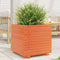 vidaXL - Plantenbak - 50x50x49,5 - cm - massief - grenenhout - wasbruin
