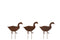 J-Line decoratie Tuin 3 Stuks Eenden - ijzer - roest - 12 stuks