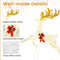 Coast 3-delige LED rendier familie XXL - 330 warmwitte LED's - Bok 136x41x152 cm / Hinde 86x20x107 cm / Kalf 48x20x74 cm