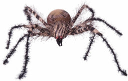 Halloween Decoraties My Other Me Zebra Spin Klein (38 x 34 x 8 cm)