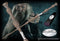 Noble Collection Harry Potter - Dumbledore / Perkamentus Elderwand / Zegevlier toverstaf / Toverstok Replica