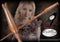 Noble Collection Harry Potter - Luna Lovegood / Loena Leeflang's Toverstaf / Toverstok Replica