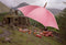 Noble Collection Harry Potter - Rubeus Hagrid Umbrella / Paraplu Replica