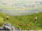 NOCH 0012821 H0 Alpenhoornspelers figuren Kant-en-klare module