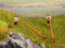 NOCH 0015579 H0 Alpenhoornspelers figuren Geverfd, Staand