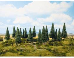 NOCH 0024311 Set bomen Zilverspar 80 tot 140 mm Donkergroen 13 stuk(s)