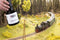 NOCH 0060110 Gras-Master