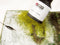 NOCH 0060110 Gras-Master